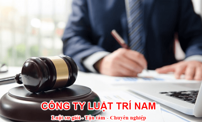 Tư vấn hợp đồng, kinh doanh