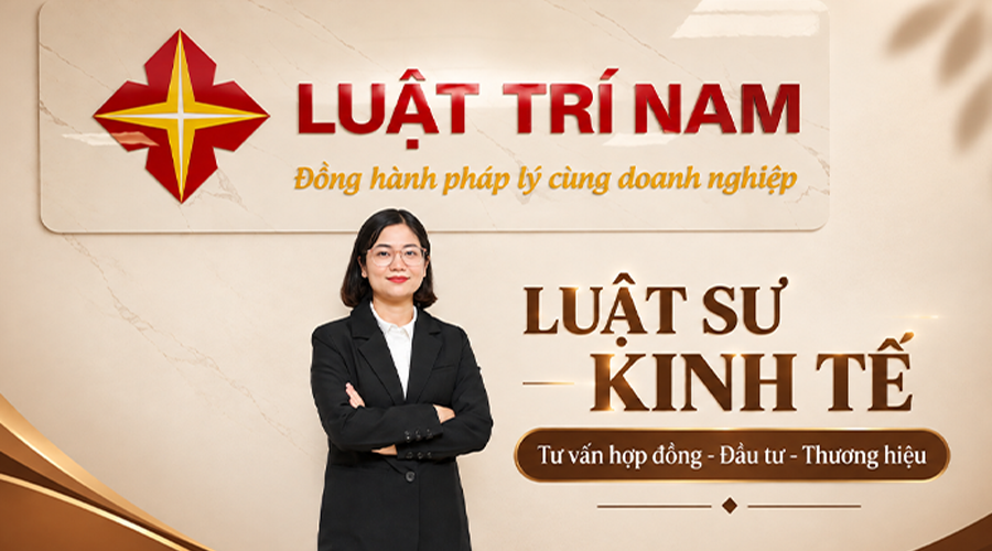 Luật sư kinh tế: Tư vấn đầu tư, M&A, giải quyết tranh chấp hợp đồng